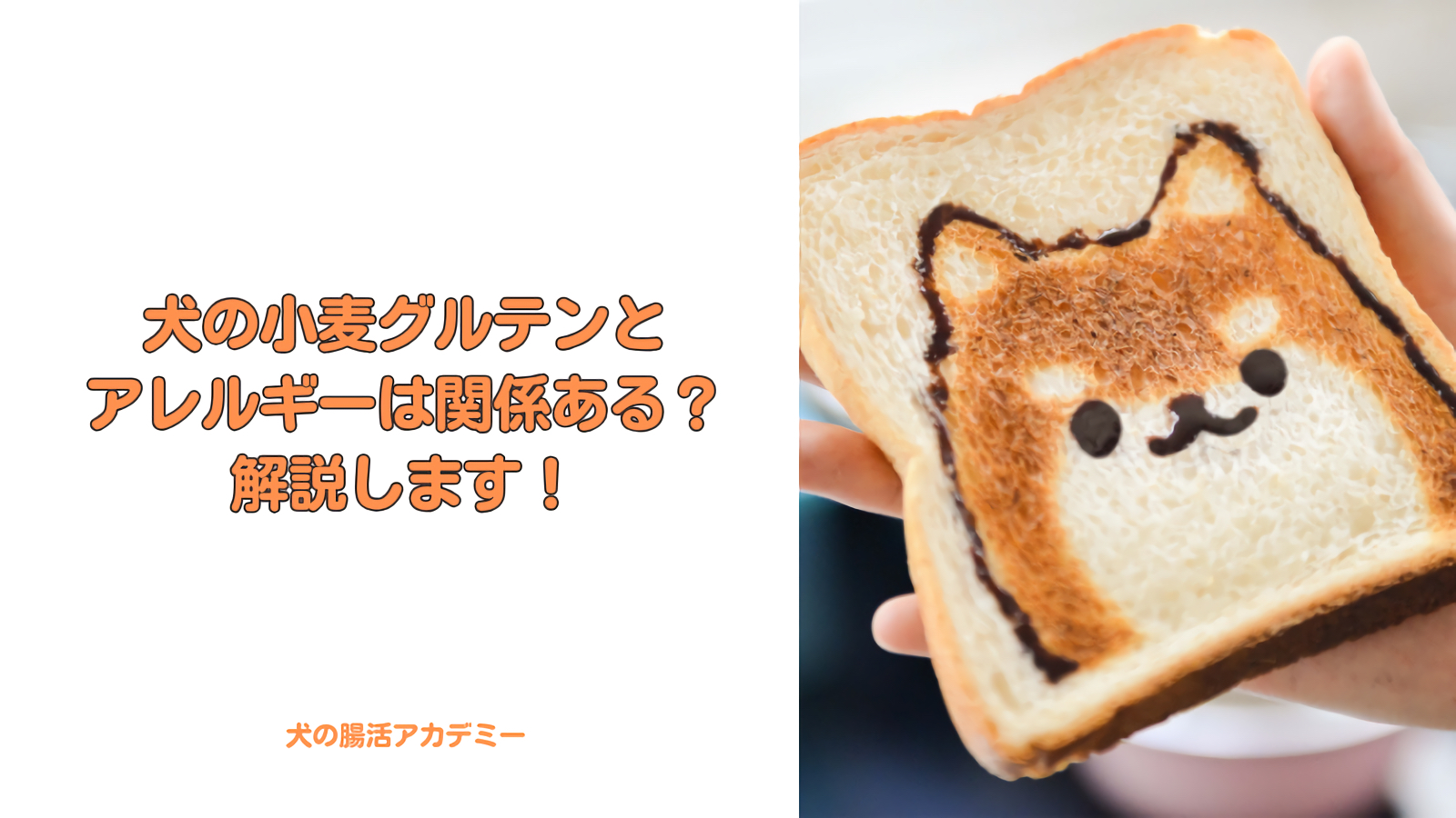 犬の小麦グルテンとアレルギー