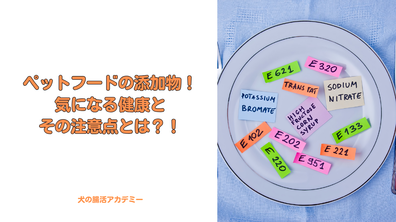 ペットフードの添加物！気になる健康と注意点