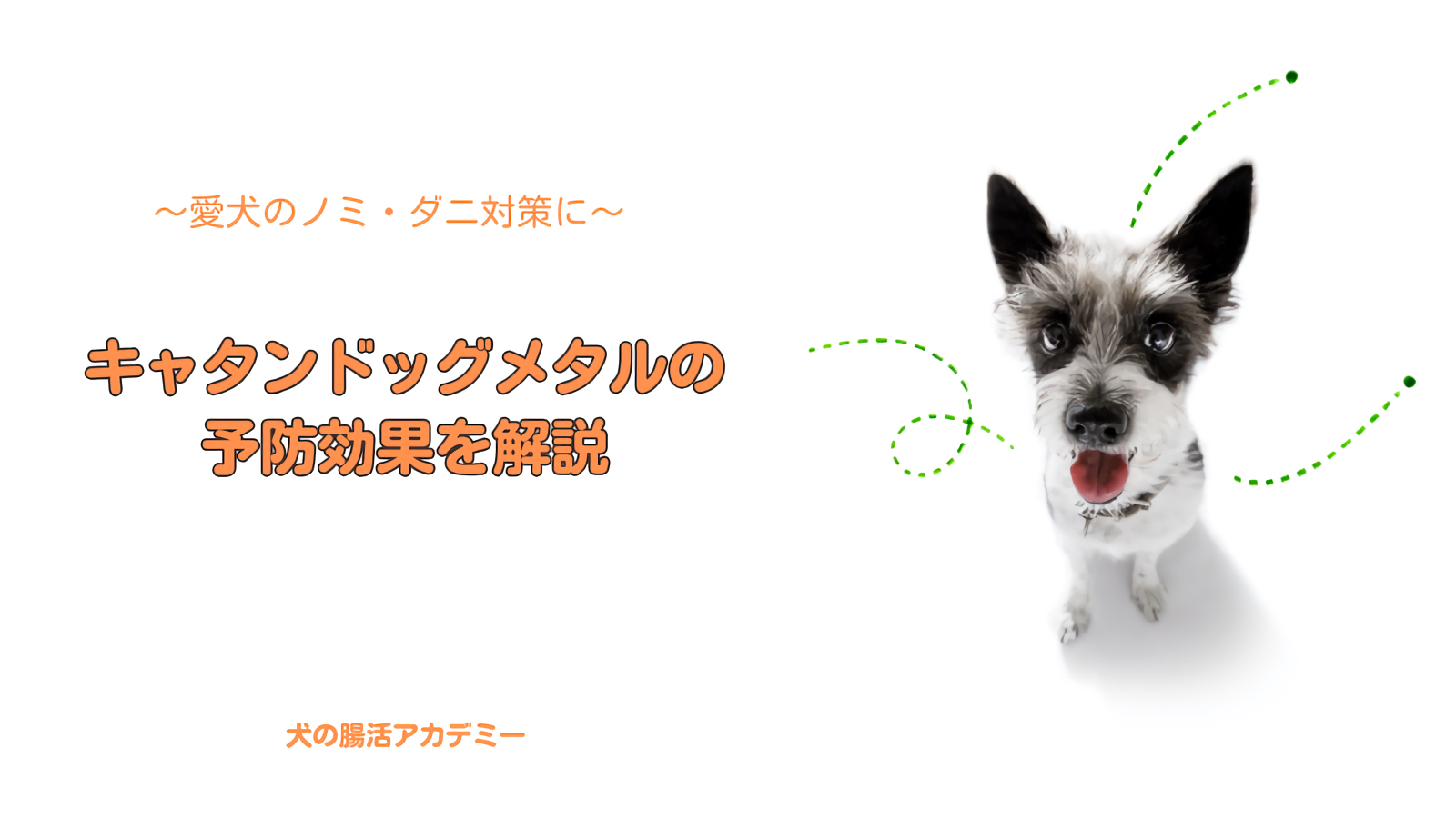 キャタンドッグメタルの効果を解説！