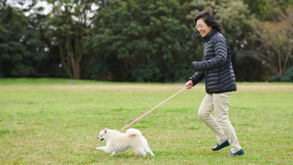 犬のダイエットはマラソン