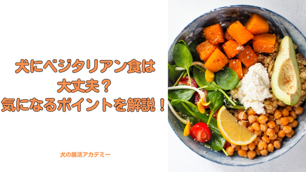 犬のベジタリアン食