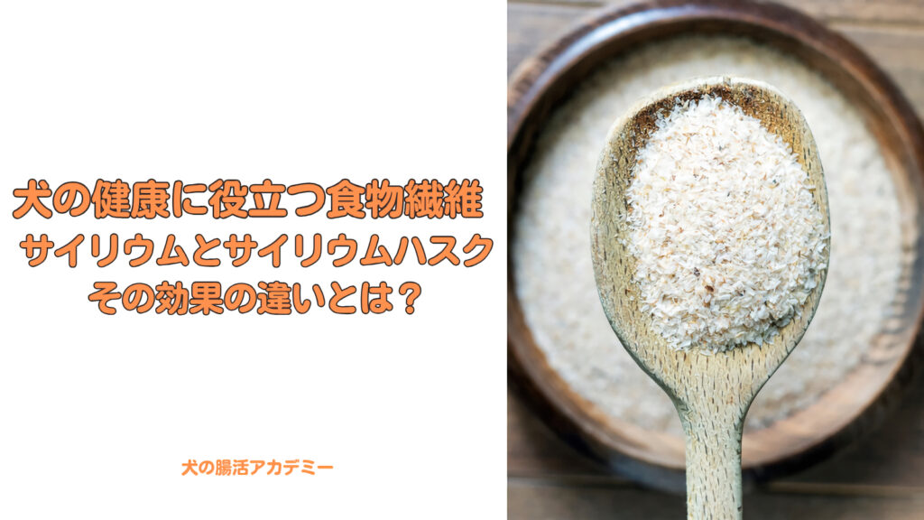 犬の健康に役立つ食物繊維サイリウムとサイリウムハスクその効果の違いとは？