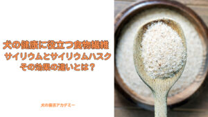 犬の健康に役立つ食物繊維サイリウムとサイリウムハスクその効果の違いとは？