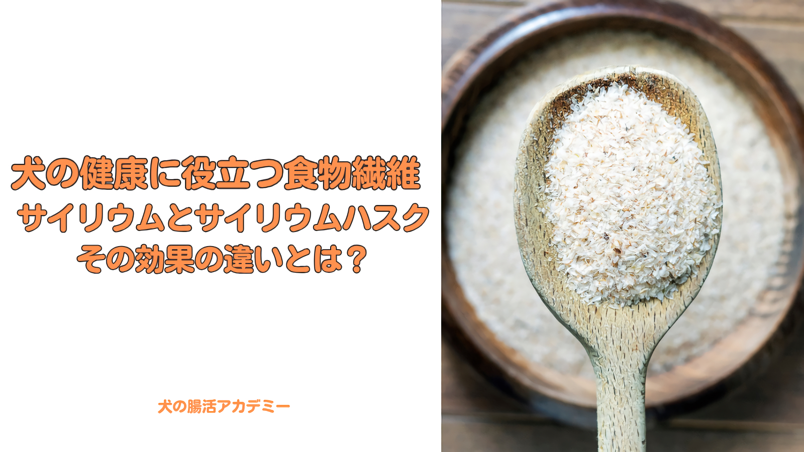 犬の健康に役立つ食物繊維サイリウムとサイリウムハスクその効果の違いとは？